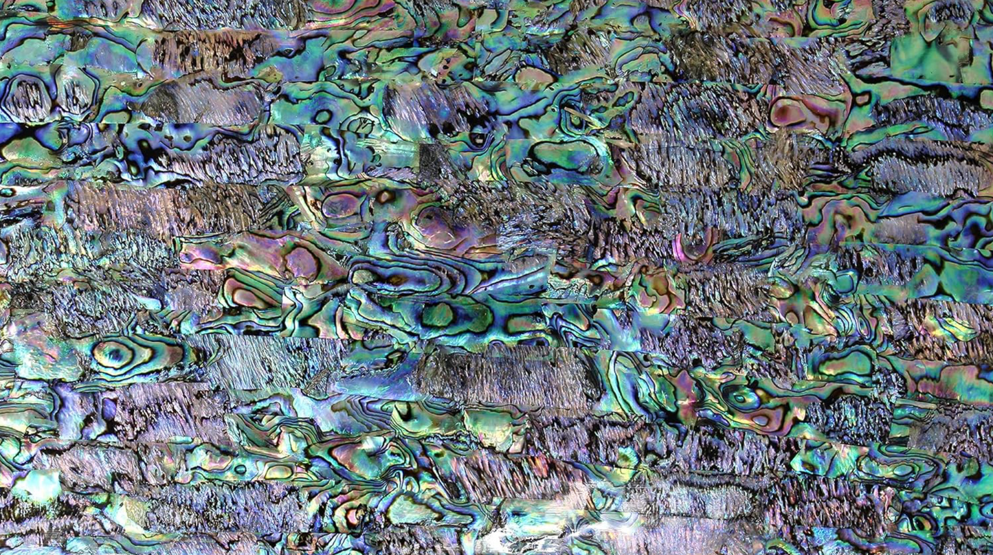 Natural Shell Abalone | Natural Opal