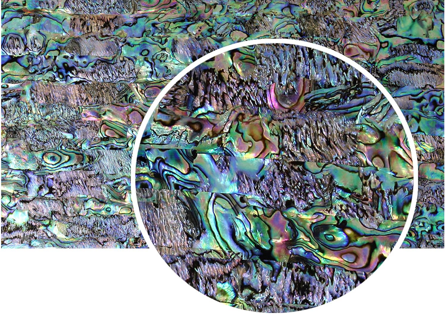 Natural Shell Abalone | Natural Opal